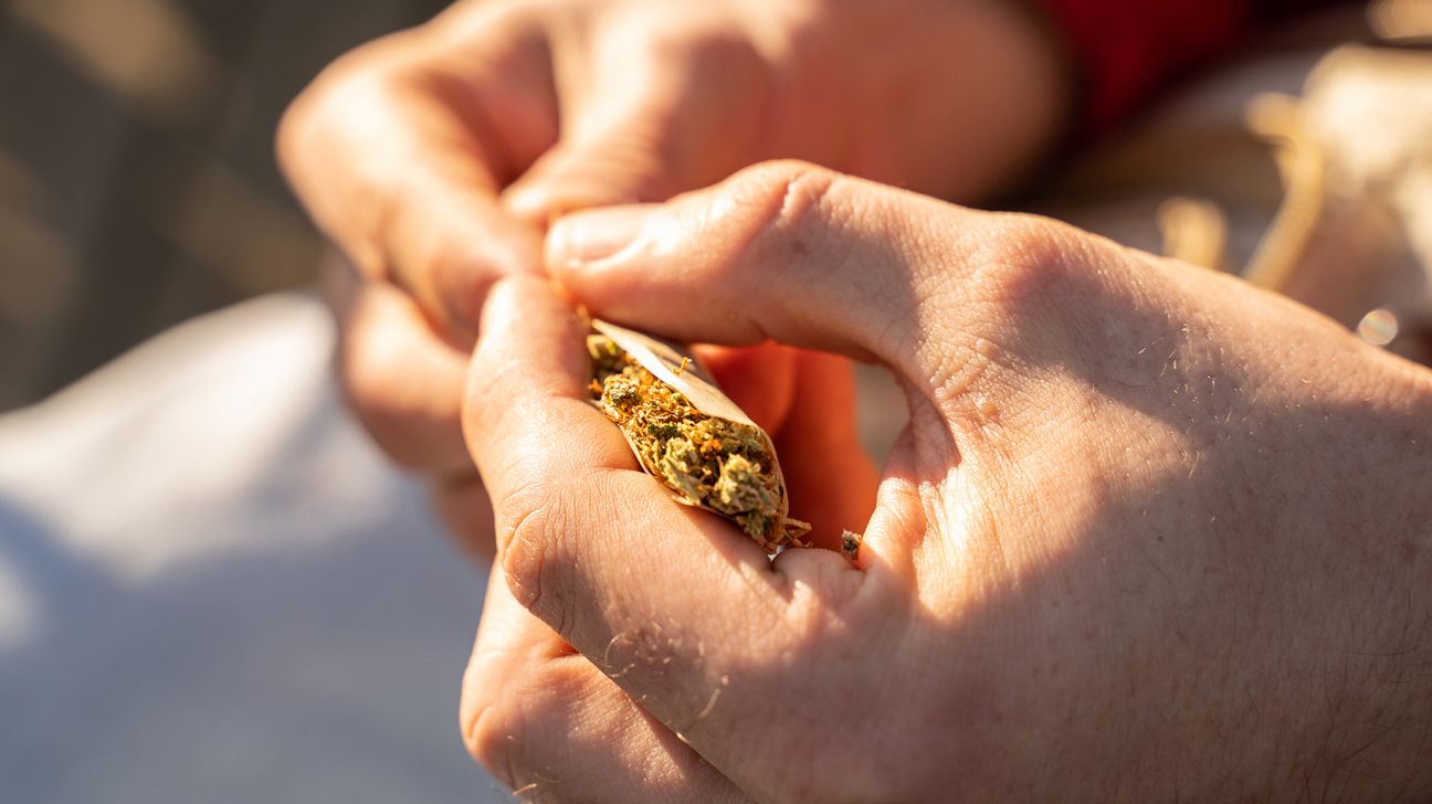 A person rolling a marijuana joint.